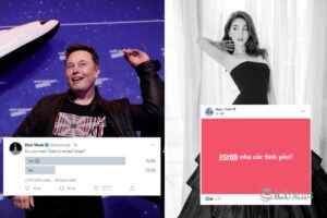 From Elon Musk to Ngoc Trinh: The virtual currency fever is full of pitfalls 7